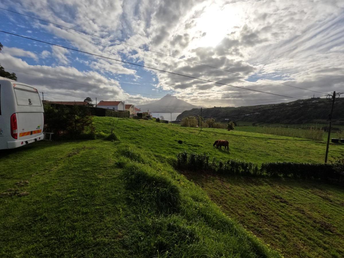Apartamentos Praia Do Almoxarife Horta  Eksteriør bilde